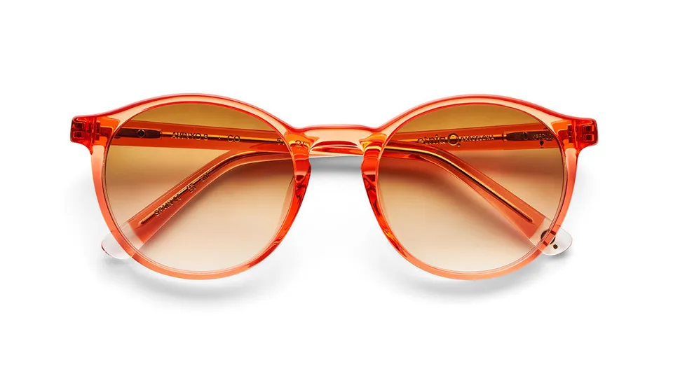 Etnia Barcelona Avinyo 3 Sun lunettes de soleil photochromiques CO