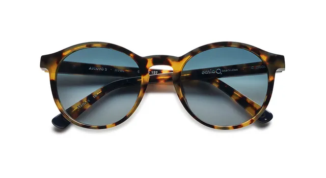 Etnia Barcelona Avinyo 3 Sun lunettes de soleil HV/BL photochromique