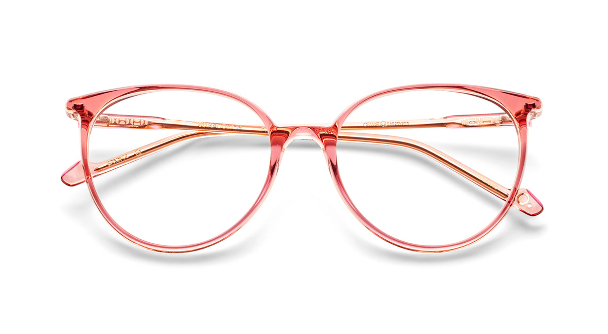 Etnia Barcelona Optical Ultra Light 14 lunettes de vue BR/GR 54
