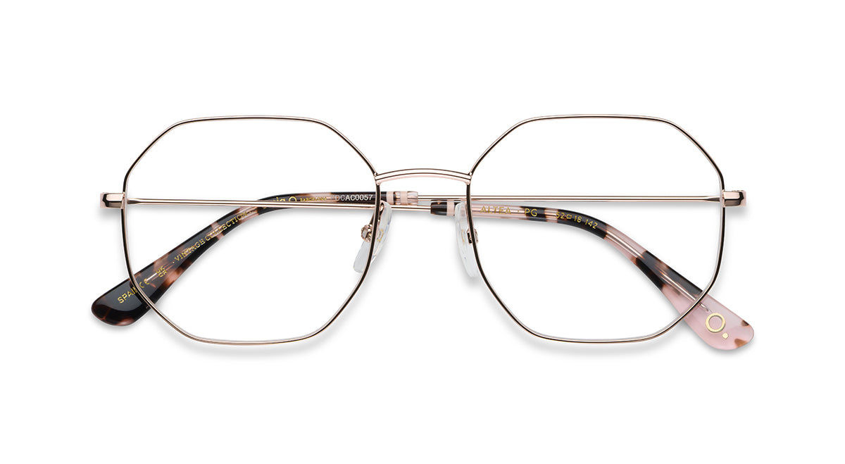 Etnia Barcelona Altea monture optique BZ/PT calibre 52