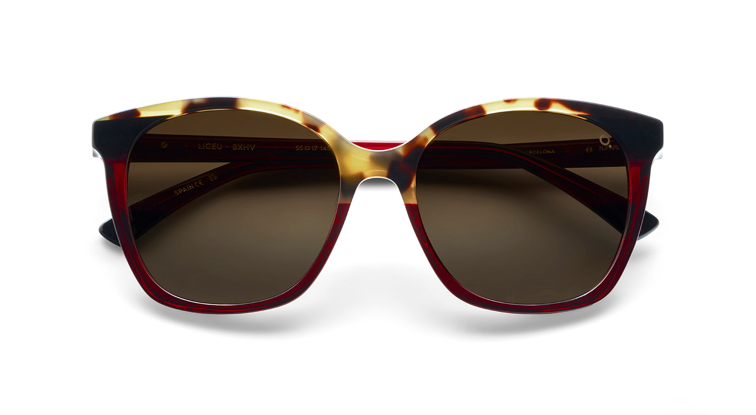 Etnia Barcelona Liceu lunettes de soleil BL/BR dégradé 55