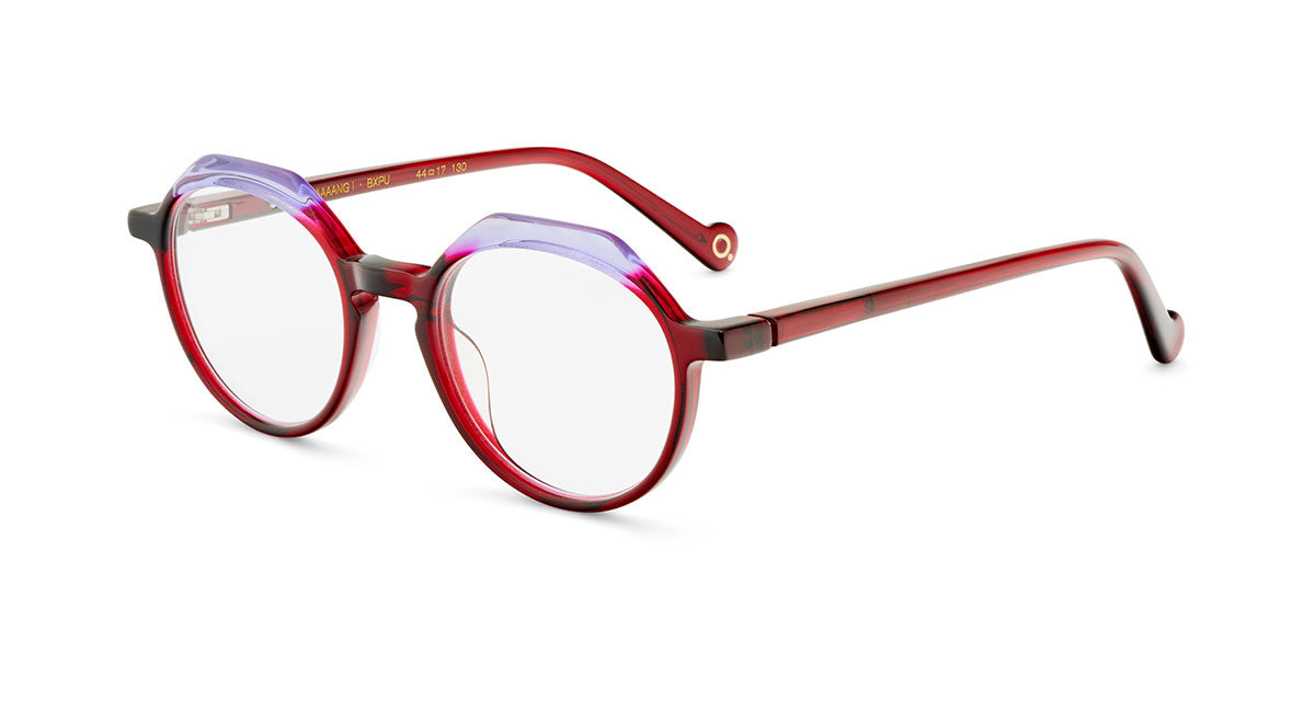 Etnia Barcelona Baaaang lunettes de vue BX/PU calibre 44