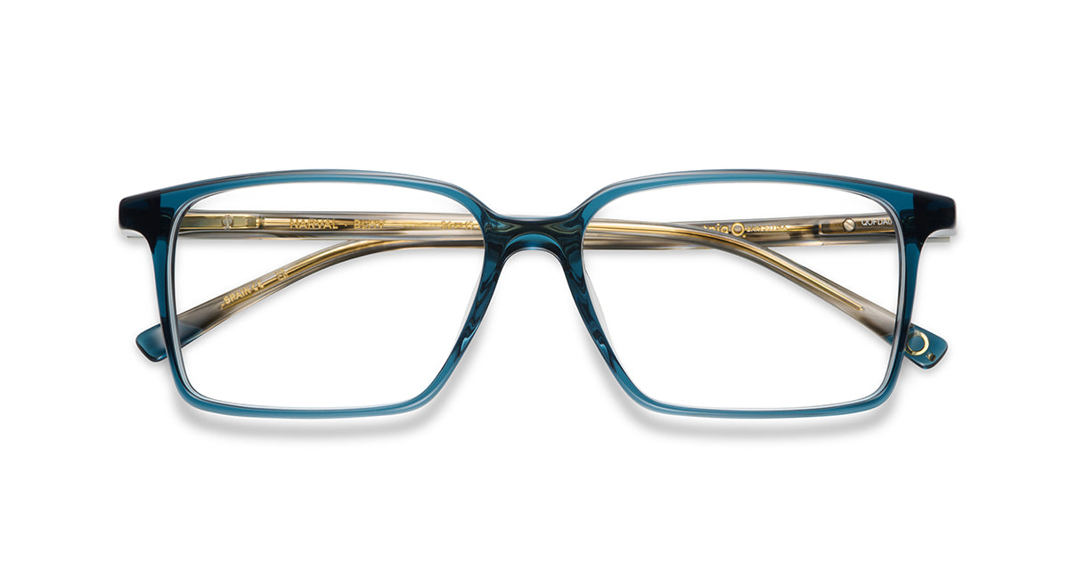 Etnia Barcelona Narval lunettes de vue HV calibre 56