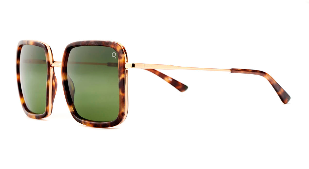Etnia Barcelona Tahoe Sun lunettes de soleil photochromique 54