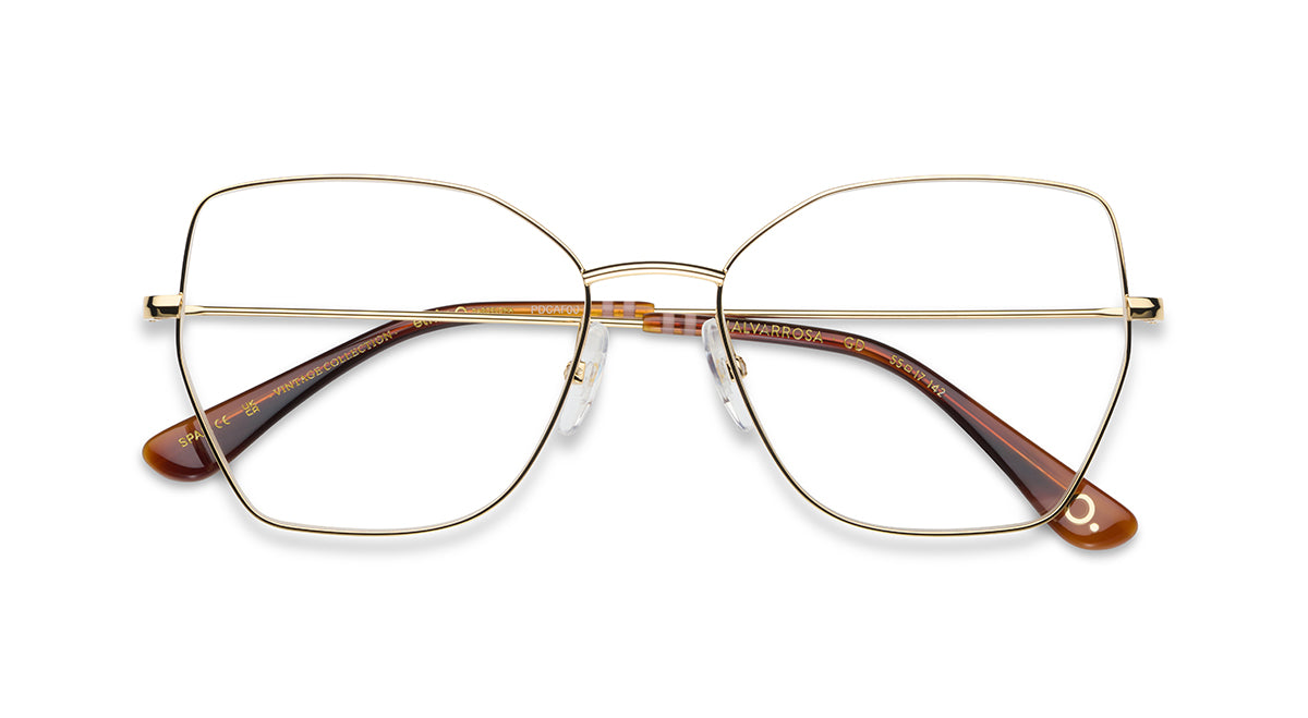 Etnia Barcelona Malvarrosa lunettes de vue GD/BX calibre 55