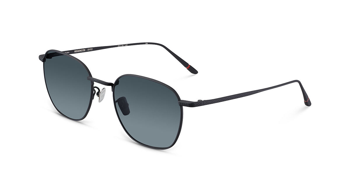 Etnia Barcelona Regencos lunettes de soleil GD/GR calibre 53