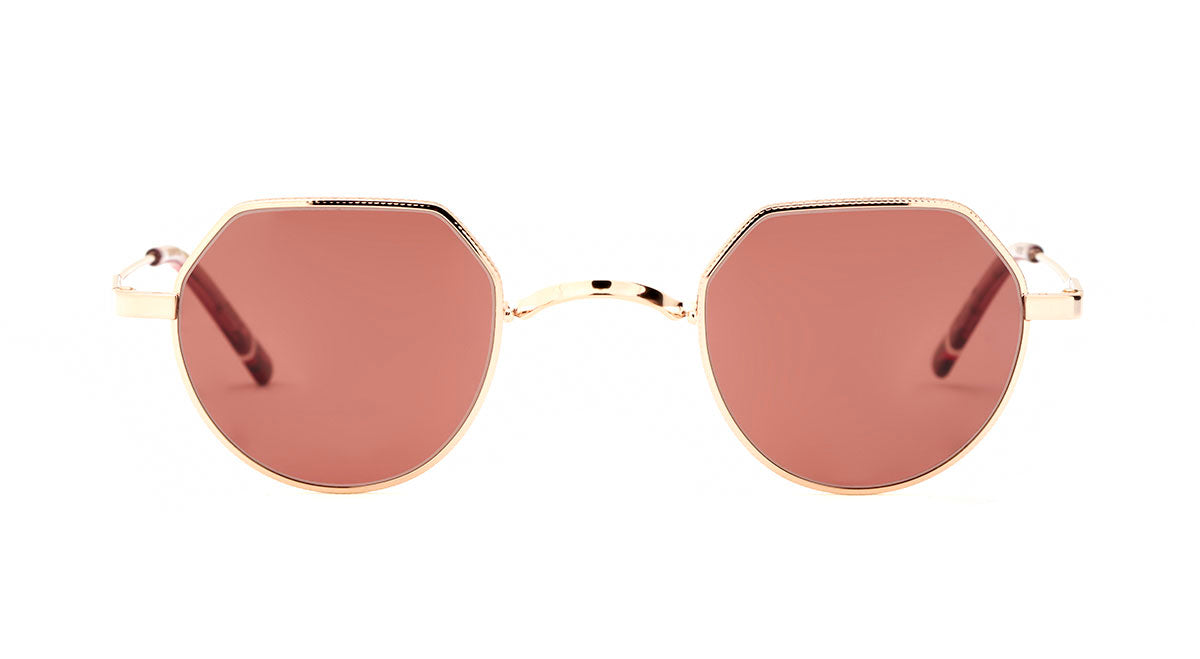 Etnia Barcelona Midtown Sun lunettes soleil teinté GD/BR 41