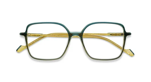 Etnia Barcelona Ultra Light 18 monture GR/YW 51