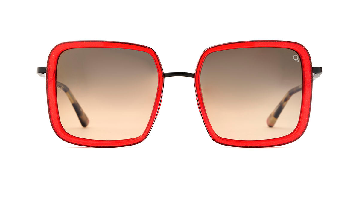 Etnia Barcelona Tahoe Sun lunettes de soleil photochromique 54