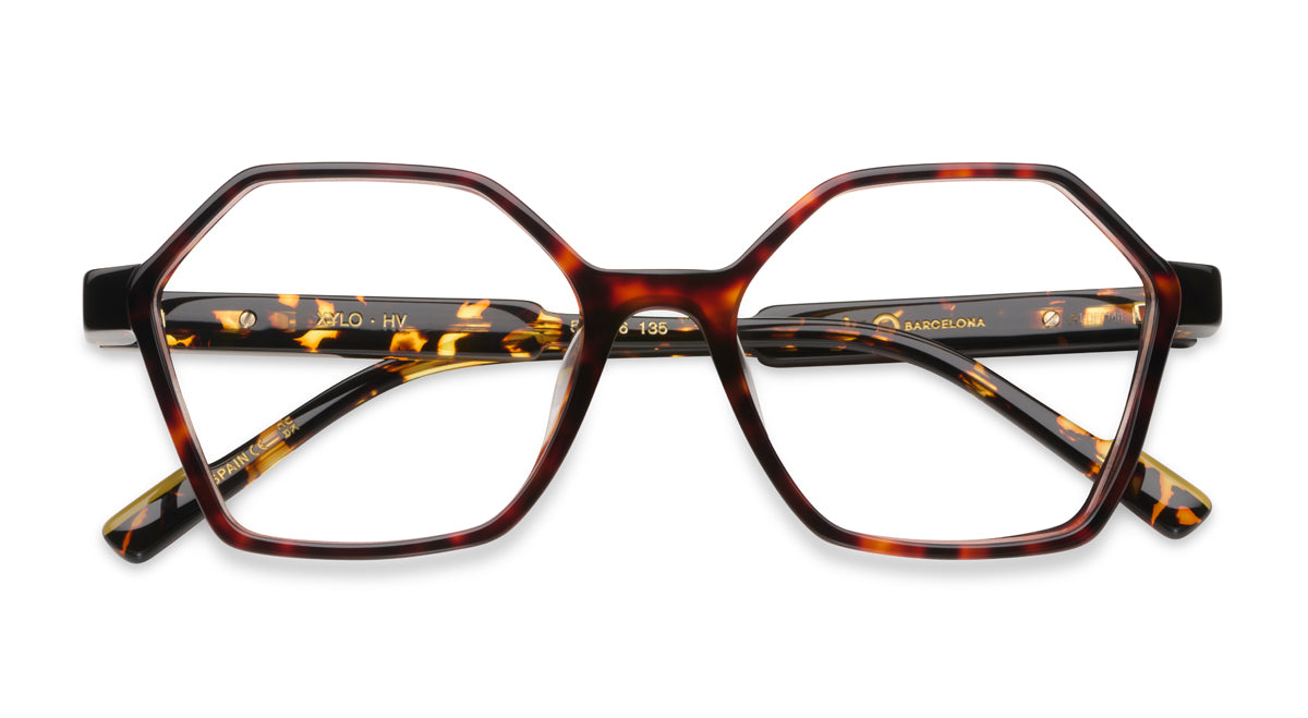 Etnia Barcelona Xylo lunettes de vue TQ/GY calibre 51