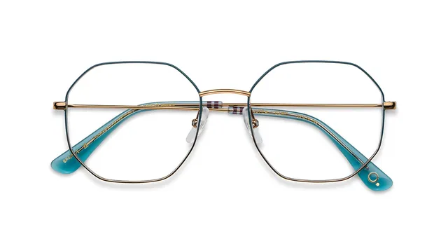 Etnia Barcelona Altea monture optique BZ/PT calibre 52