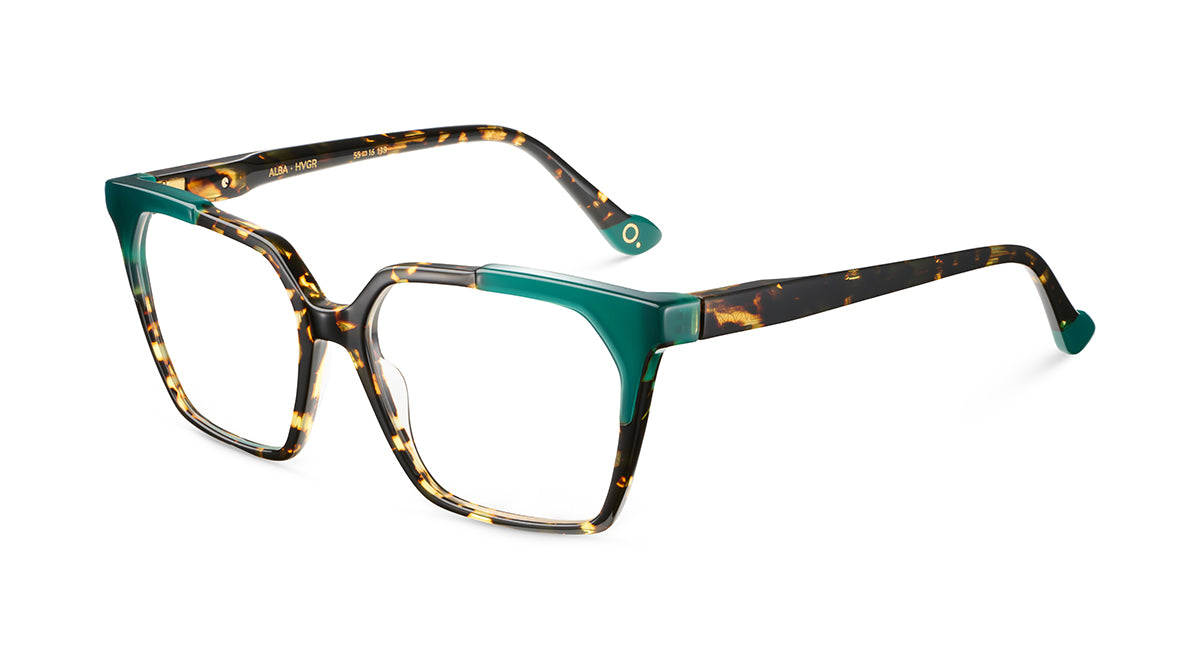 Etnia Barcelona Alba monture optique TQ/PU calibre 55