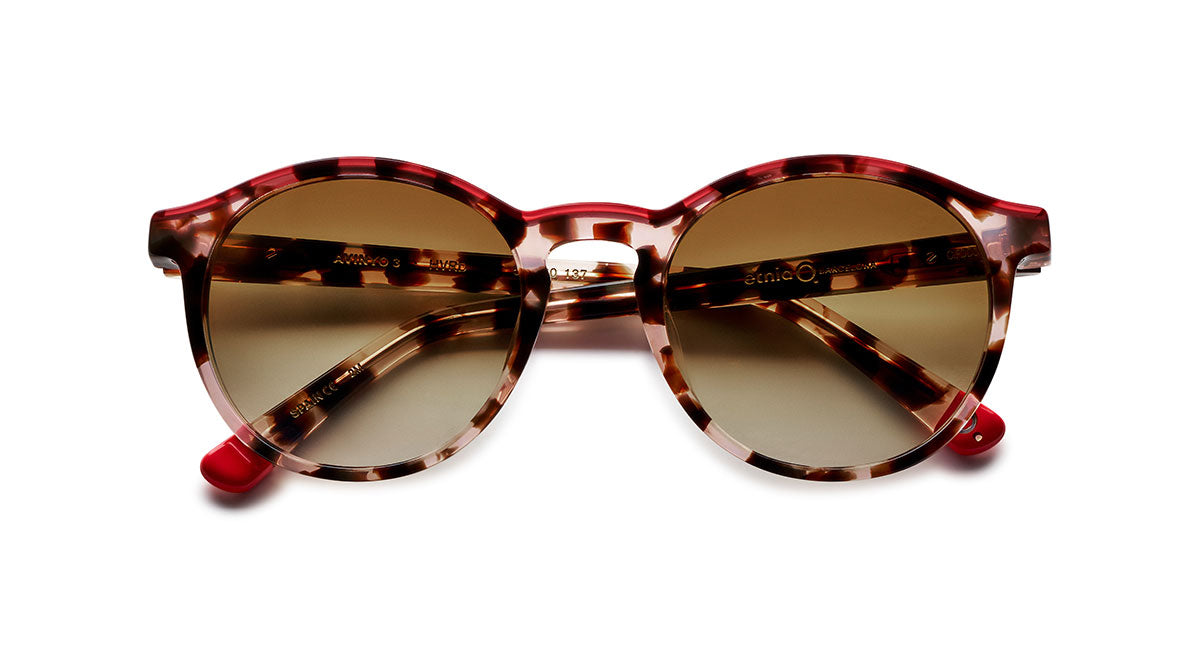 Etnia Barcelona Avinyo 3 lunettes de soleil HV/RD photochromiques