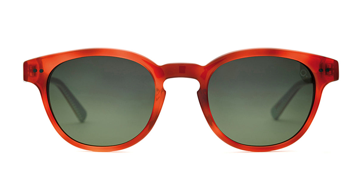 Etnia Barcelona Williamsburg Sun lunettes de soleil BK/HV minéral