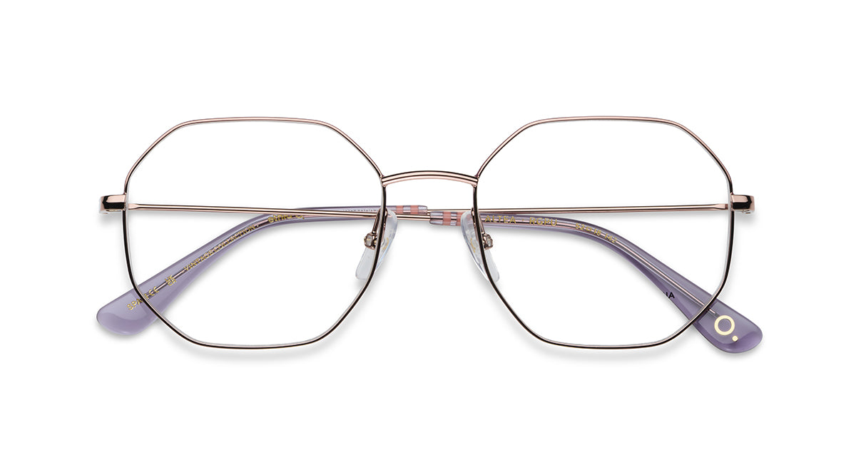 Etnia Barcelona Altea monture optique BZ/PT calibre 52