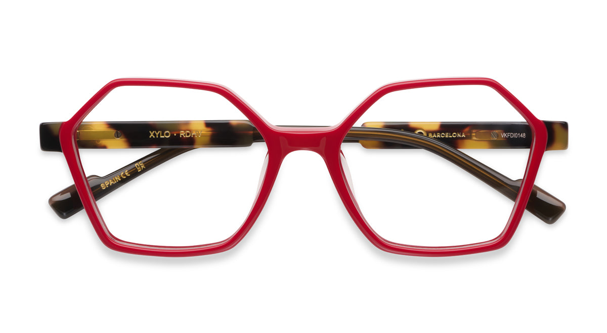Etnia Barcelona Xylo lunettes de vue TQ/GY calibre 51