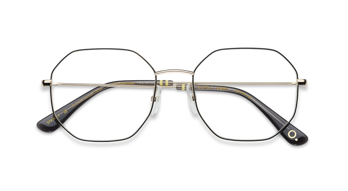 Etnia Barcelona Altea monture optique BZ/PT calibre 52