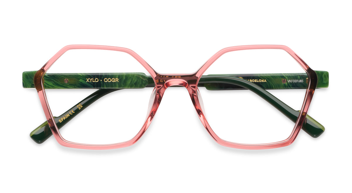 Etnia Barcelona Xylo lunettes de vue TQ/GY calibre 51