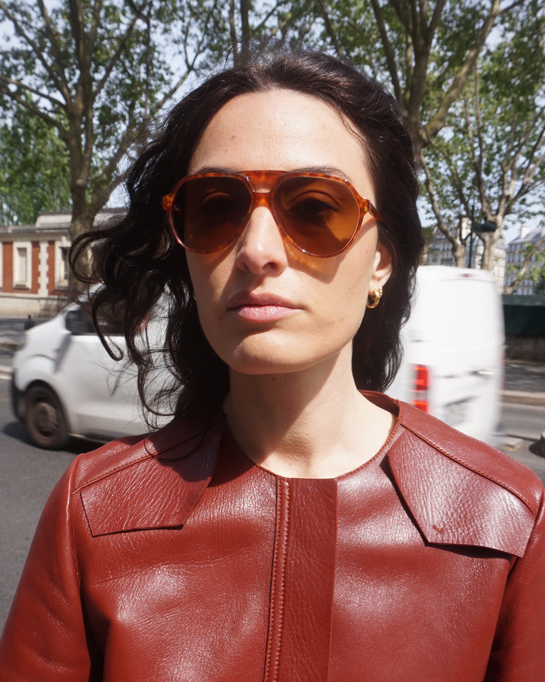 Christopher D. 1669 lunettes Transitions brun dégradé