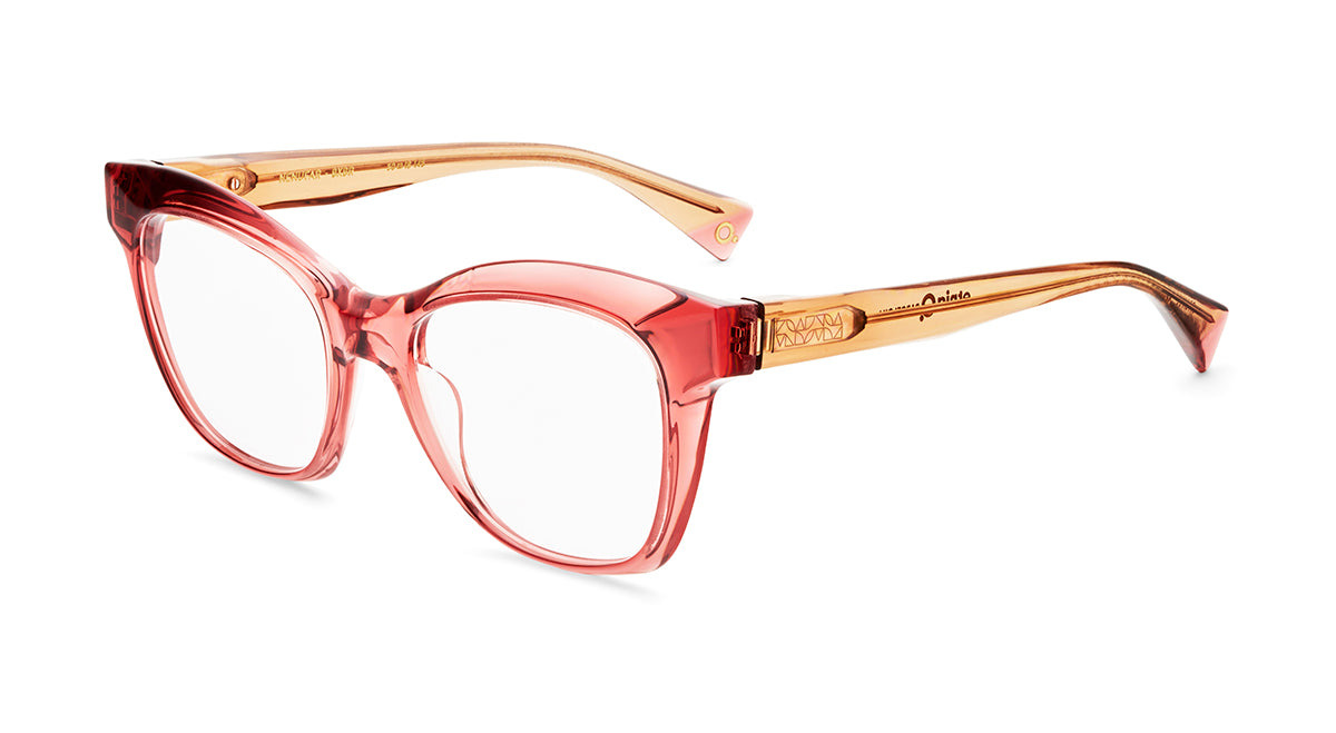 Etnia Barcelona Nenufar monture optique BE/BR 50