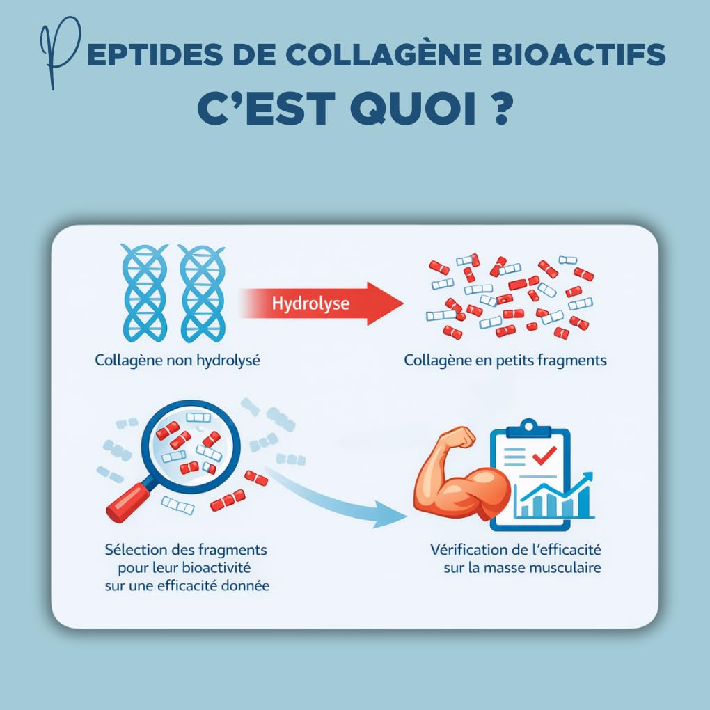 Nutrisens Fortesens Bodybalance peptides collagène poudre vitamine C