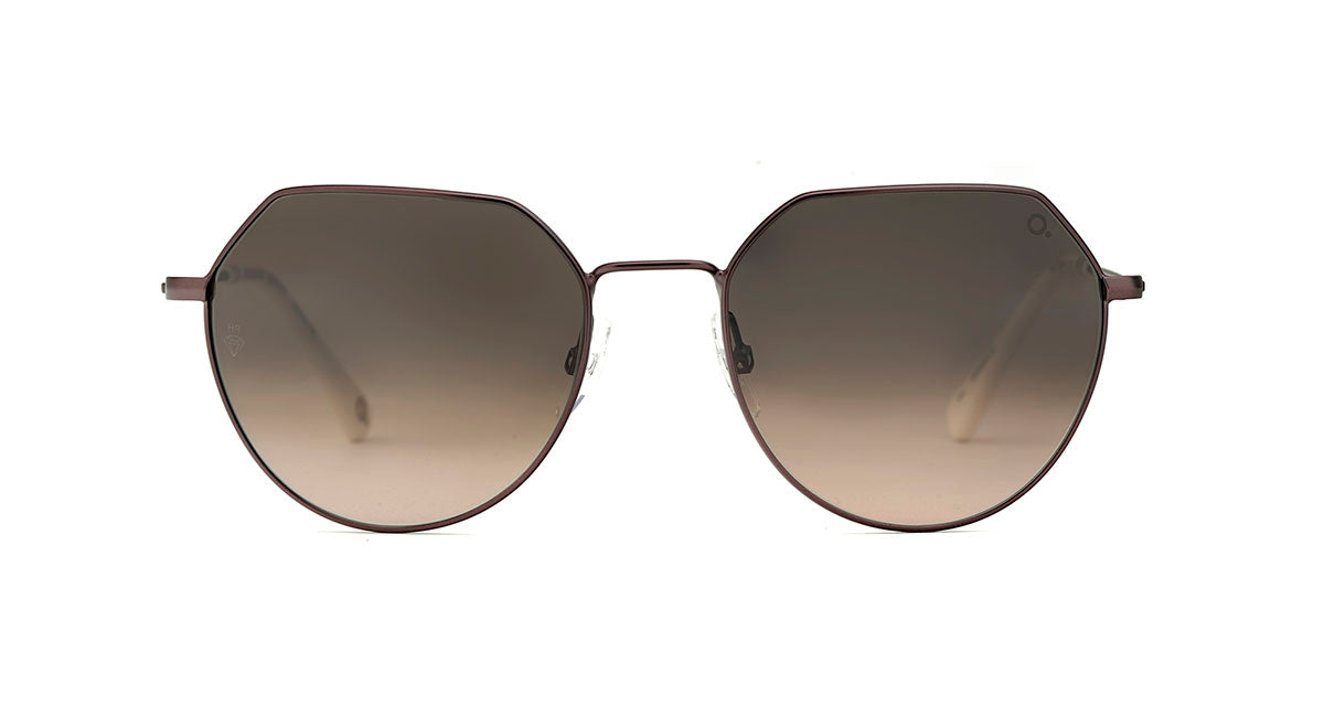 Etnia Barcelona Rhode Island Sun lunettes de soleil BK/GD 53