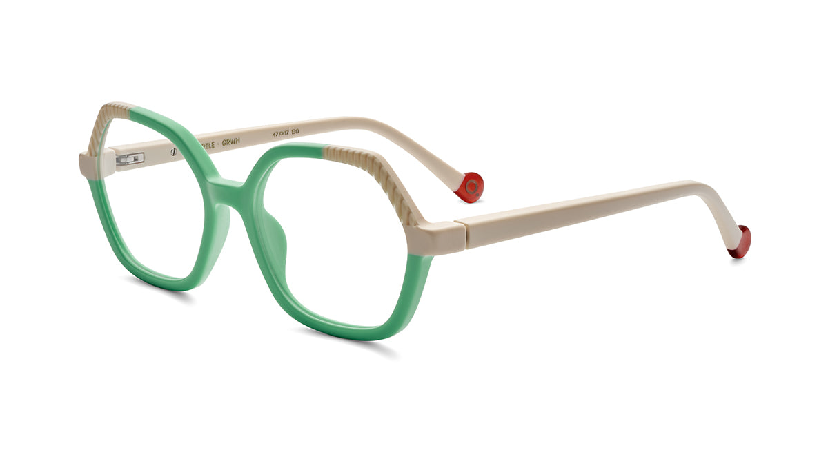Etnia Barcelona Turtle lunettes enfant GR/WH S 47 regard