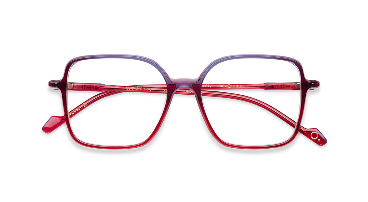 Etnia Barcelona Ultra Light 18 monture GR/YW 51