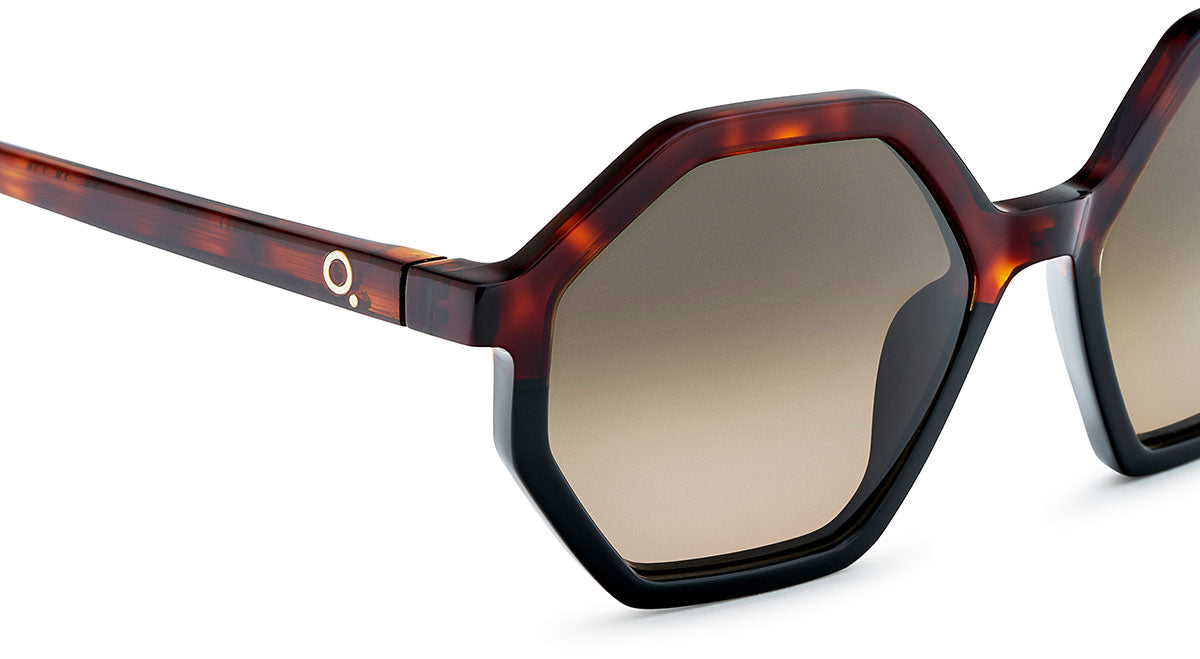 Etnia Barcelona Raval lunettes de soleil havane calibre 53