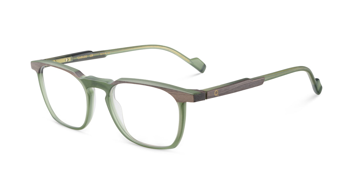 Etnia Barcelona Carlos lunettes de vue TQ/BR calibre 51