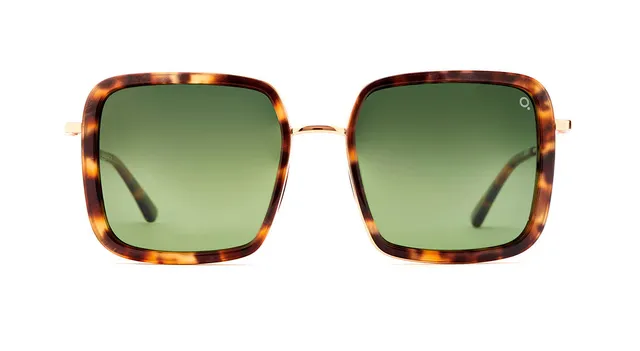 Etnia Barcelona Tahoe Sun lunettes de soleil photochromique 54