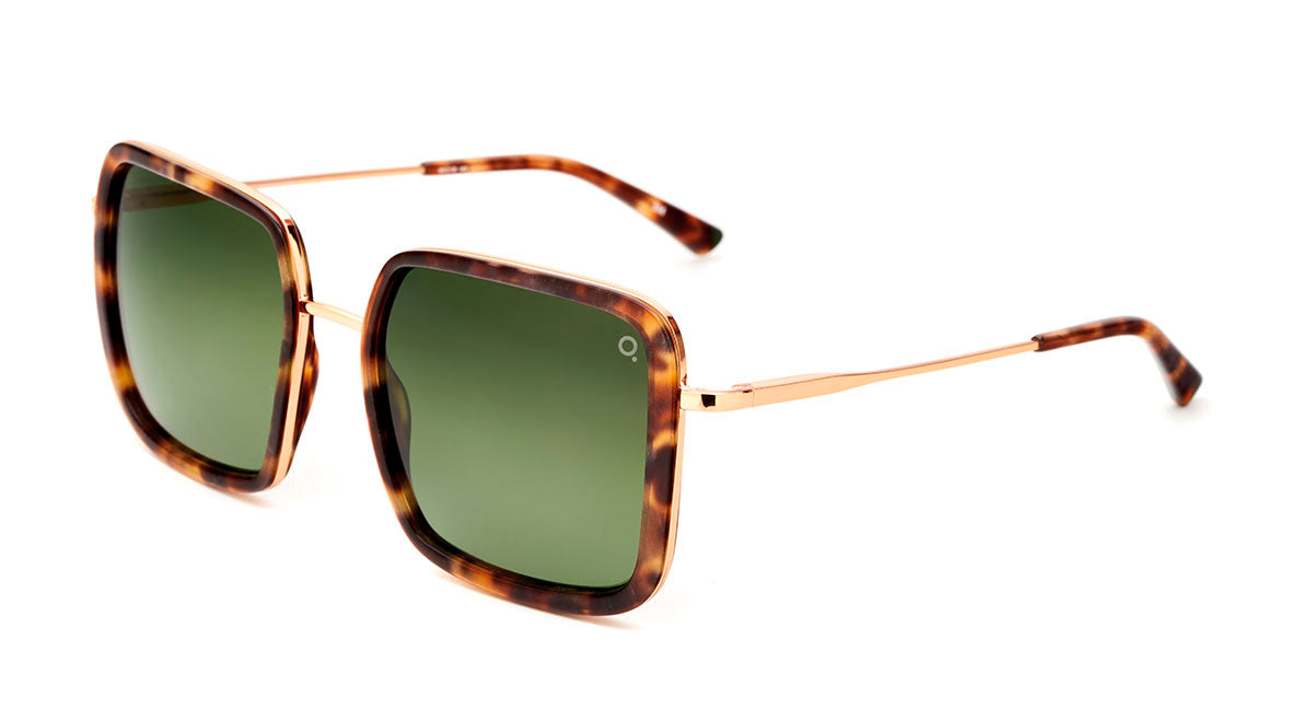 Etnia Barcelona Tahoe Sun lunettes de soleil photochromique 54