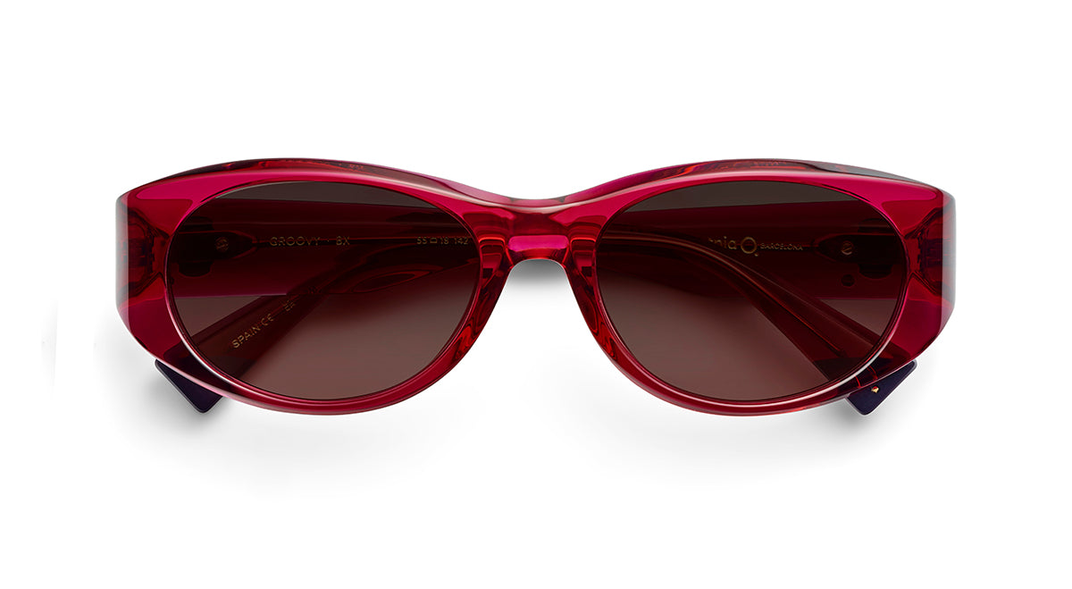 Etnia Barcelona Groovy lunettes de soleil BX polarisé 55