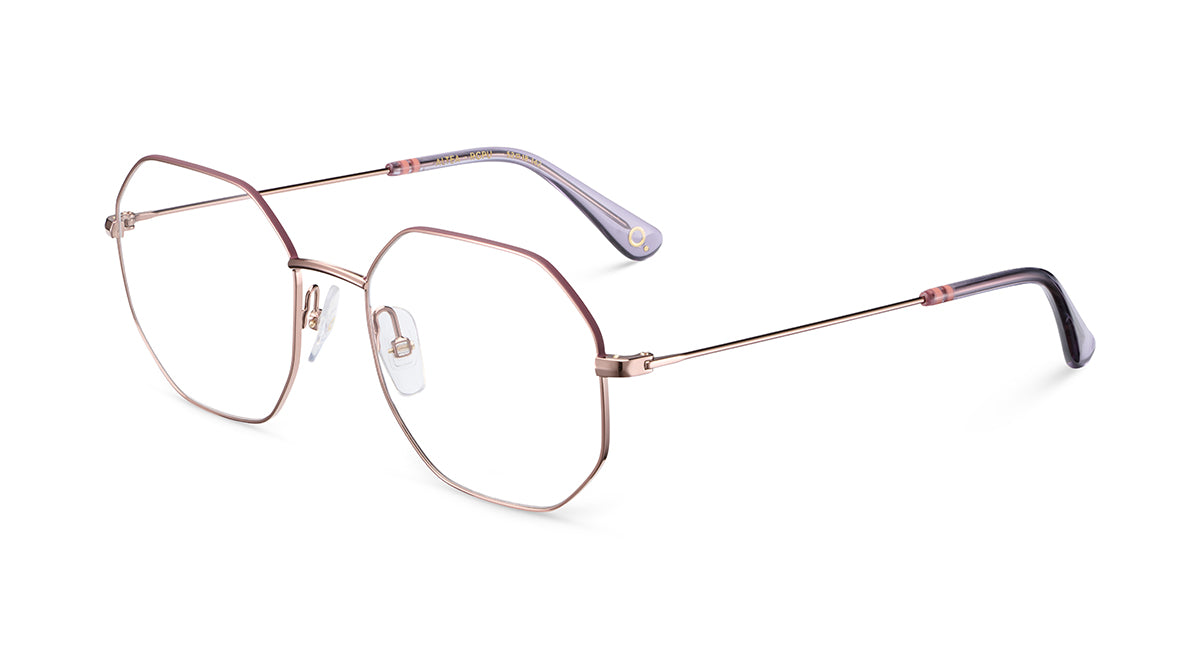 Etnia Barcelona Altea monture optique BZ/PT calibre 52
