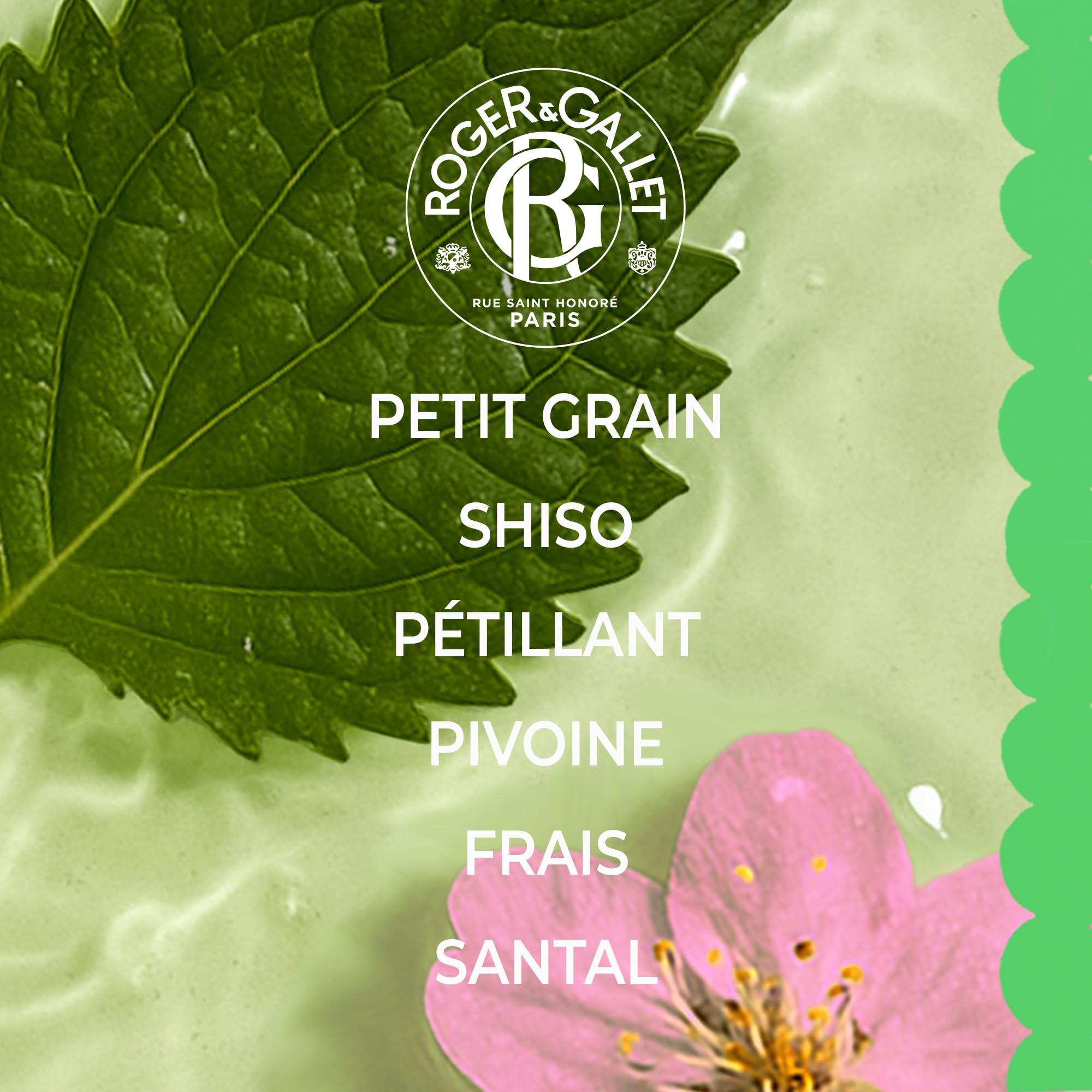 Roger&Gallet Shiso eau parfumée 100ml petitgrain santal