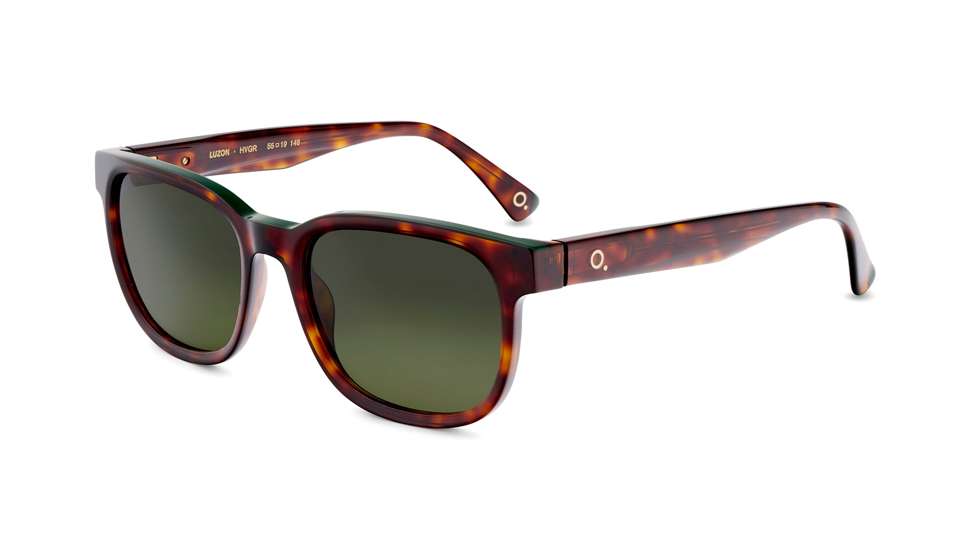 Etnia Barcelona Luzon lunettes de soleil dégradé HV/GR 55