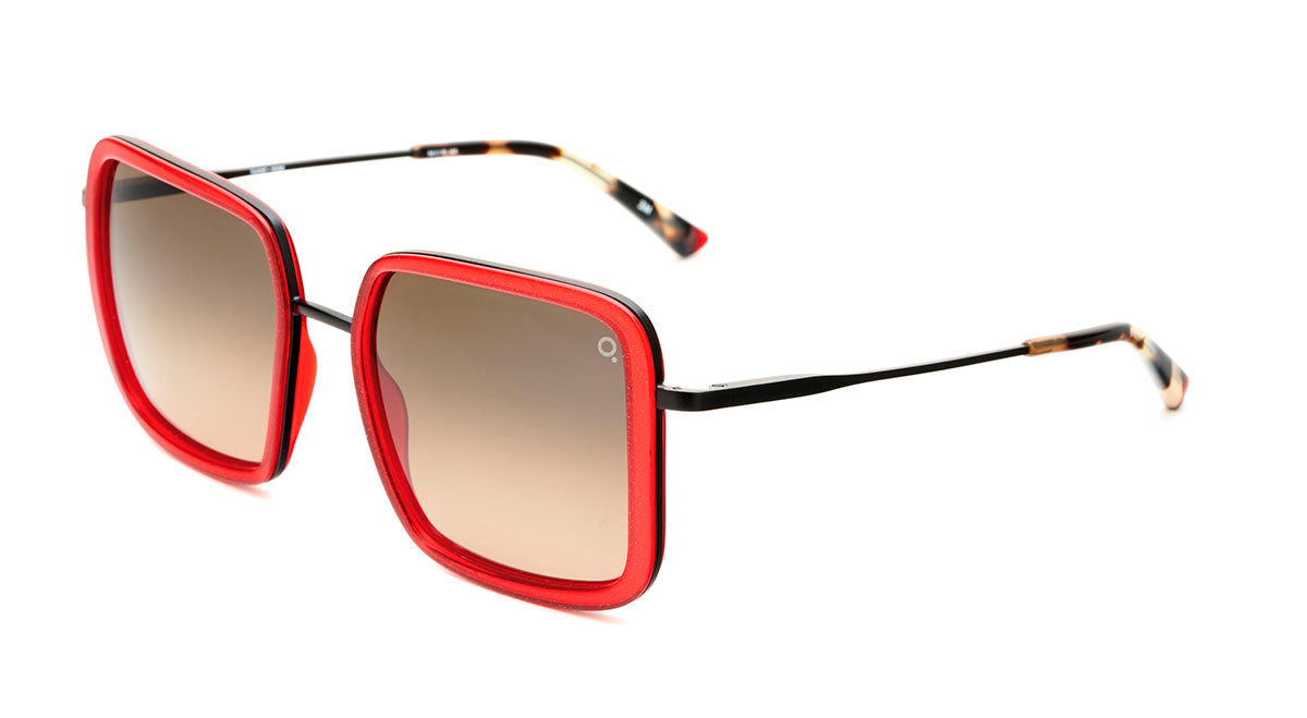 Etnia Barcelona Tahoe Sun lunettes de soleil photochromique 54