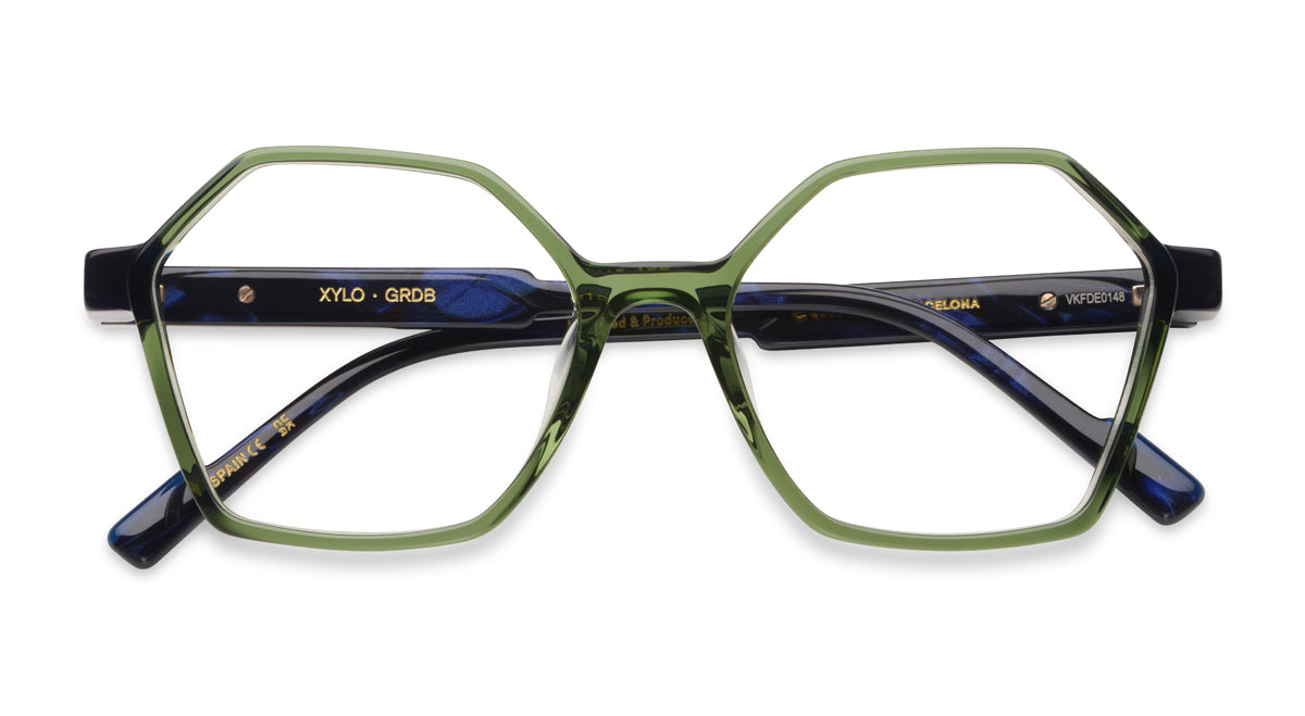 Etnia Barcelona Xylo lunettes de vue TQ/GY calibre 51