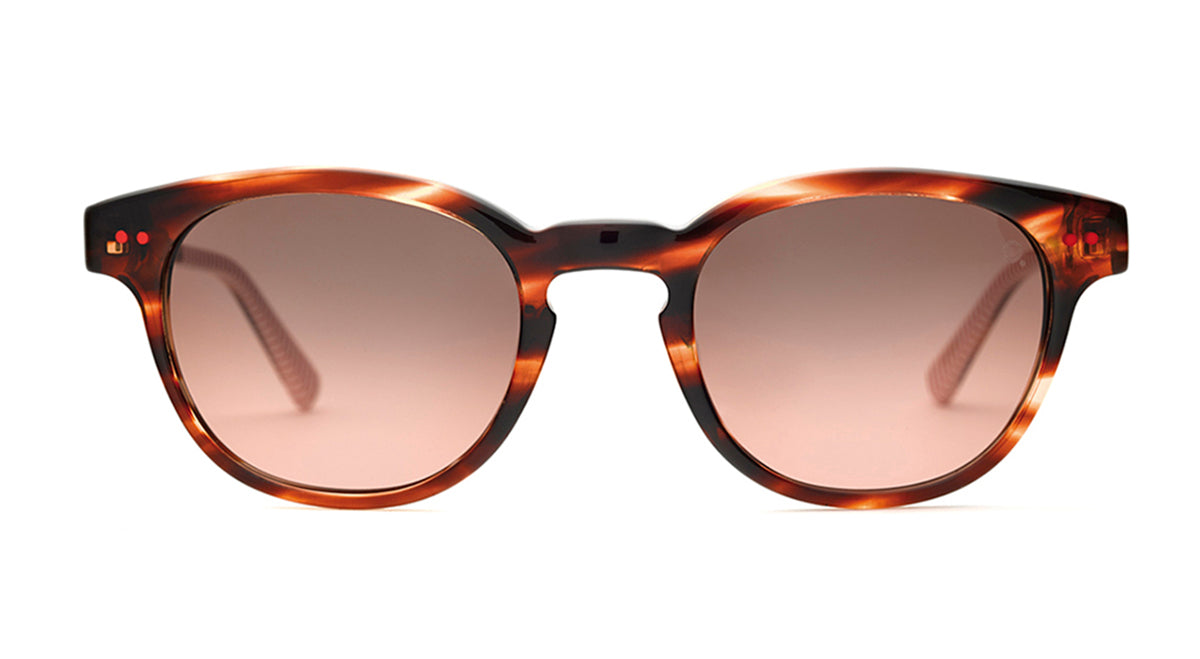 Etnia Barcelona Williamsburg Sun lunettes de soleil BK/HV minéral