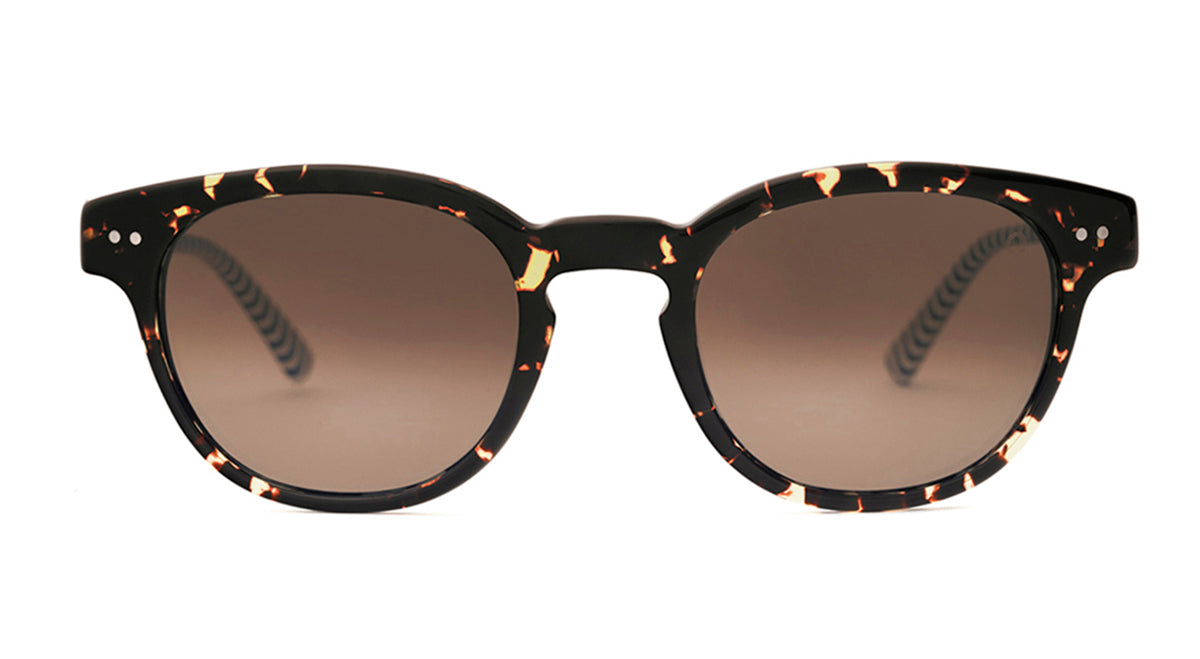 Etnia Barcelona Williamsburg Sun lunettes de soleil BK/HV minéral