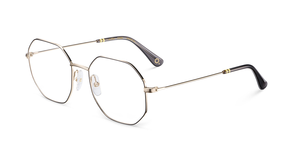 Etnia Barcelona Altea monture optique BZ/PT calibre 52