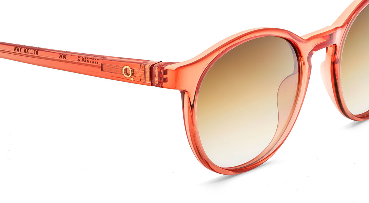 Etnia Barcelona Avinyo 3 Sun lunettes de soleil photochromiques CO
