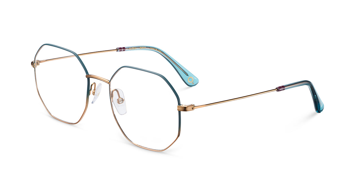Etnia Barcelona Altea monture optique BZ/PT calibre 52