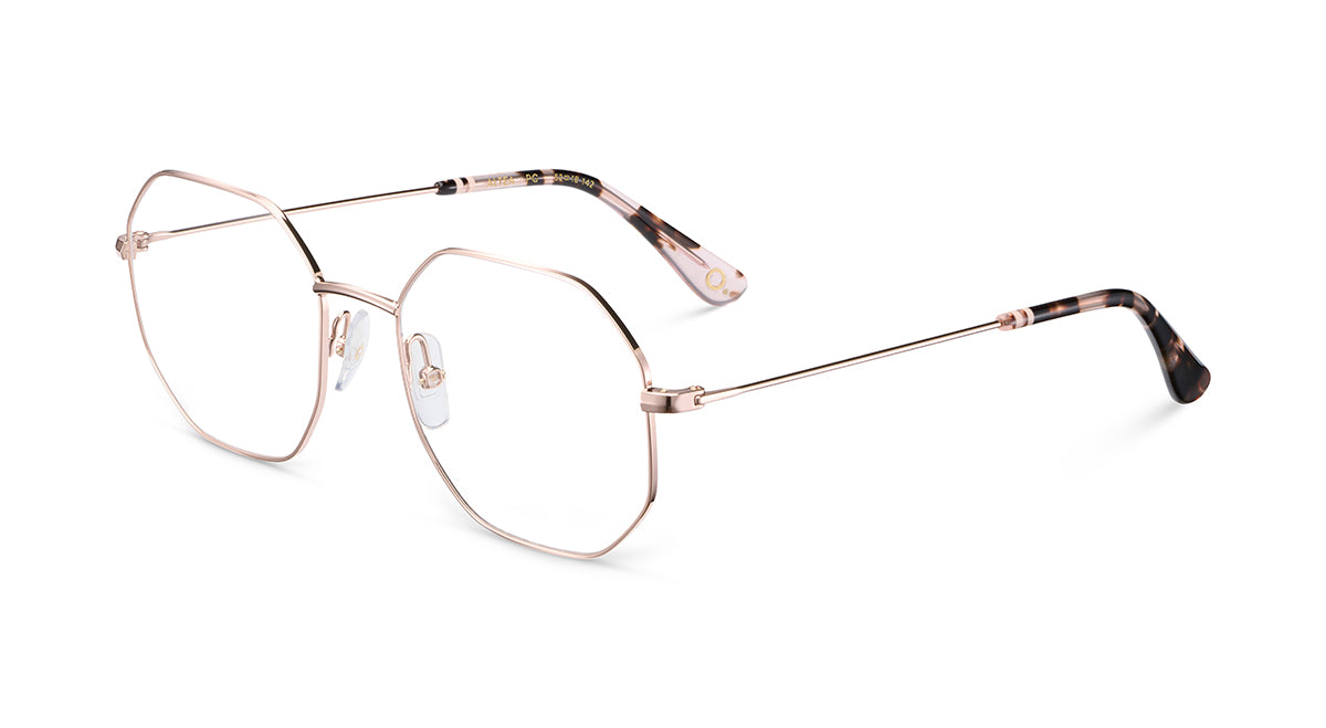 Etnia Barcelona Altea monture optique BZ/PT calibre 52