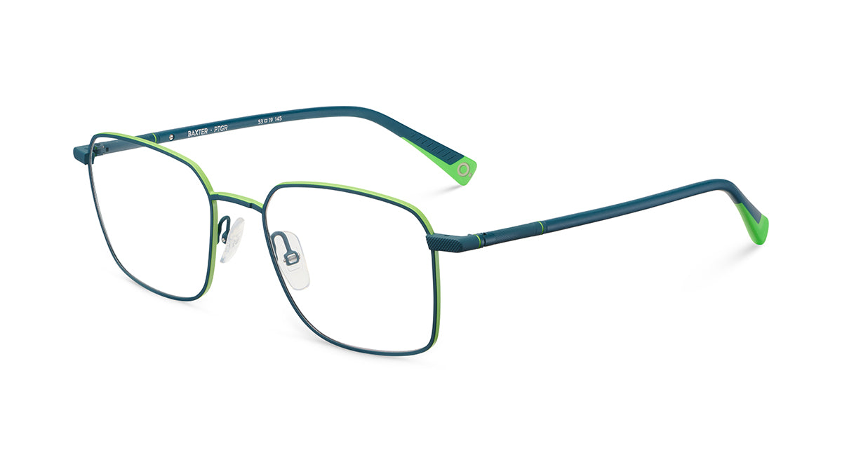Etnia Barcelona Baxter lunettes de vue PT/GR calibre 53
