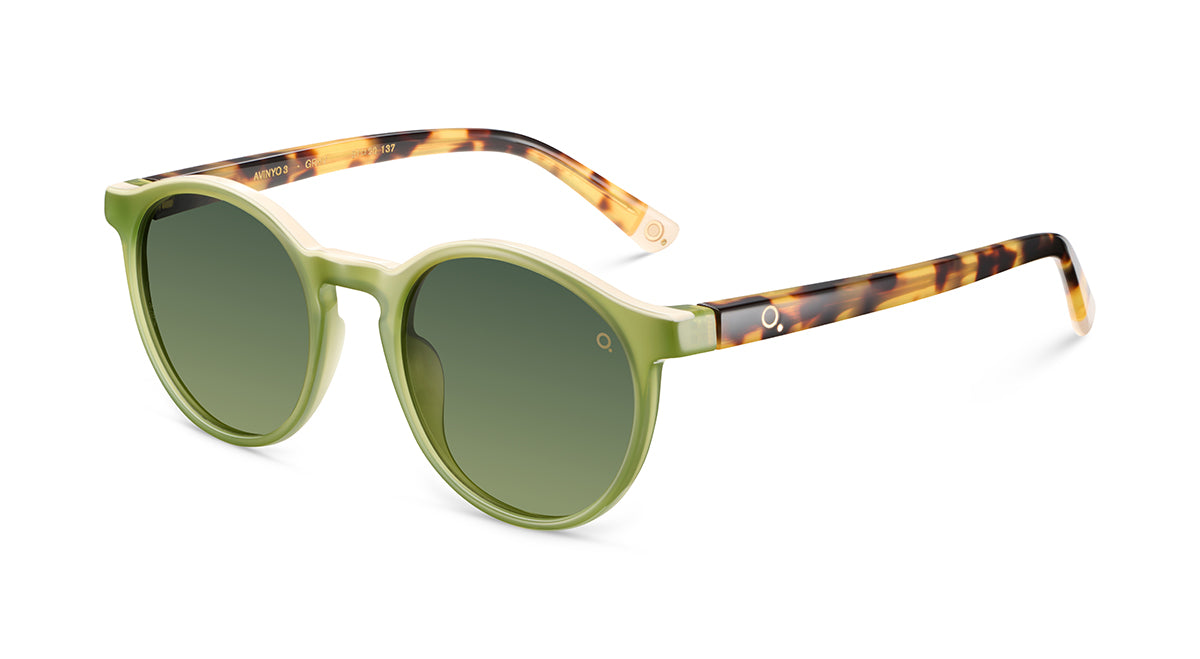 Etnia Barcelona Avinyo 3 Sun lunettes de soleil GR/HV HD