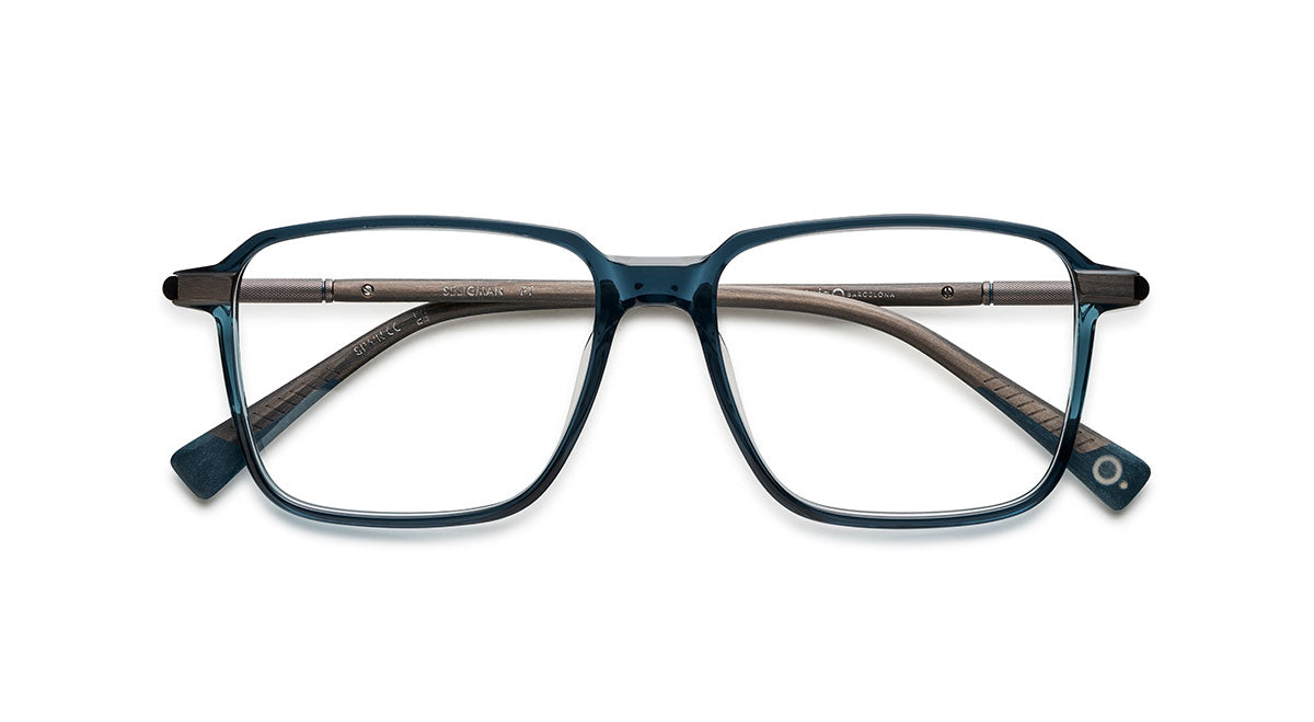Etnia Barcelona Seligman lunettes de vue platine 53