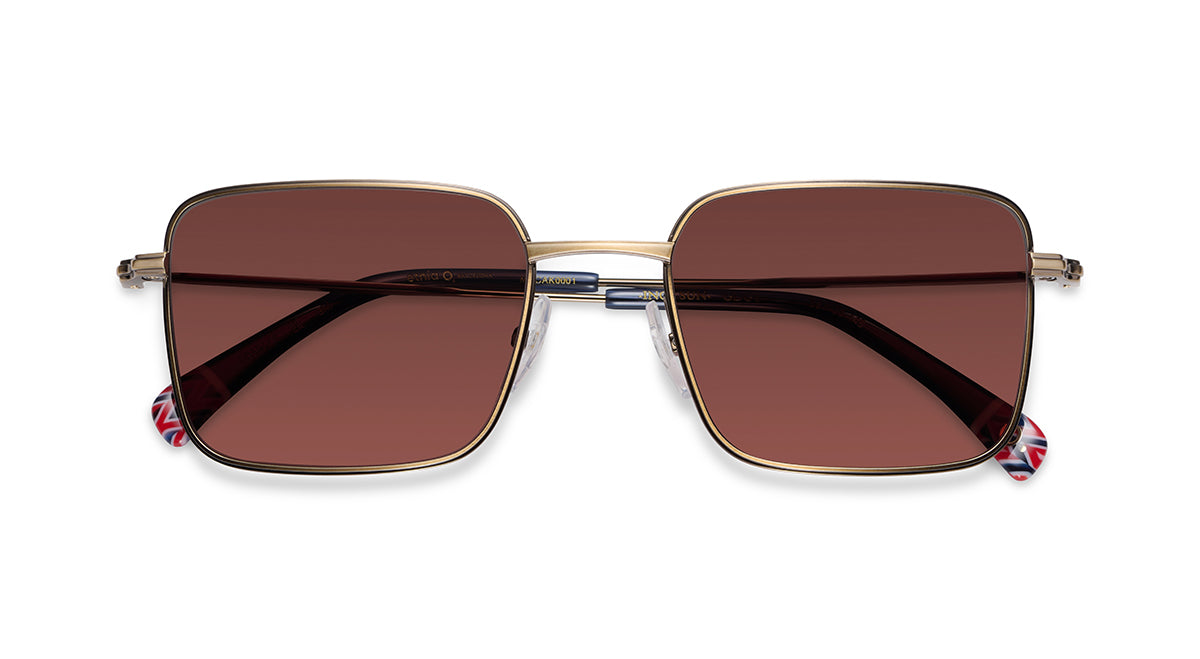 Etnia Barcelona Inca Sun lunettes de soleil GD/GY calibre 53