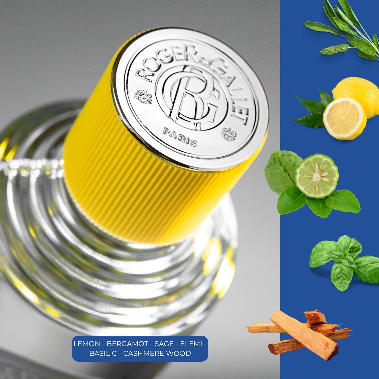 Roger&Gallet Cologne Twist eau de Cologne citron 100 ml mixte