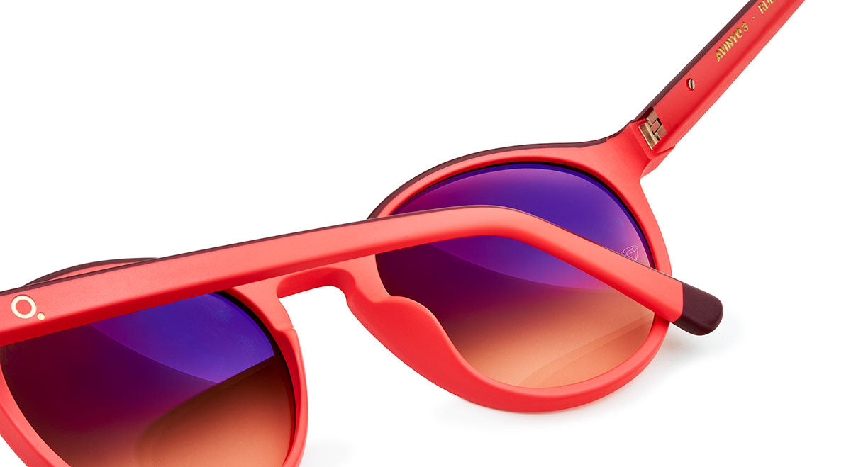 Etnia Barcelona Avinyo 3 Sun lunettes de soleil RD/BX